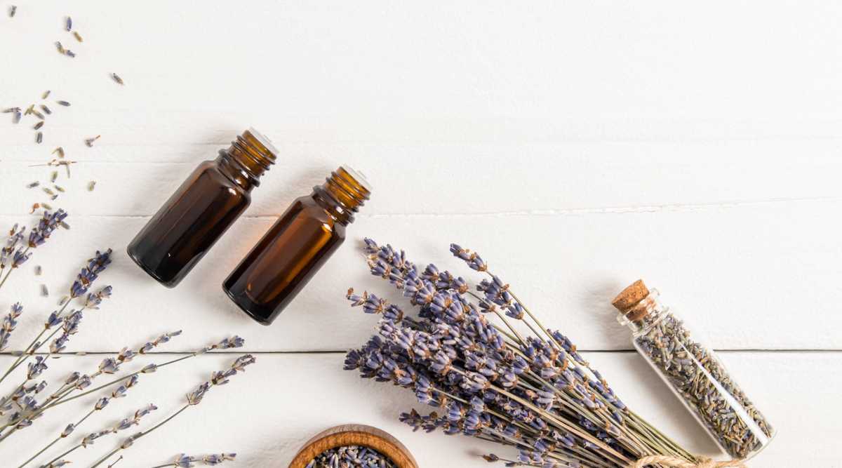 Lavender and Eucalyptus Essential Oil